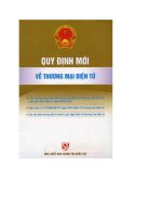 Quy định mới về thương mại điện tử.pdf