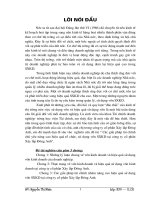 Các giải pháp tài chính chủ yếu nâng cao hiệu quả tổ chức, sử dụng vốn SXKD tại công ty cổ phần Xây lắp Đông Anh 1