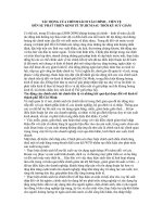 Tác động của chính sách tài chính - tiền tệ đến sự phát triển kinh tế tp.hcm sau thời kỳ suy giảm