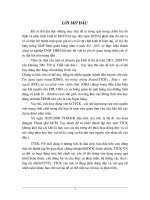 Một số giải pháp nhằm tăng cung hàng hoá cho thị trường chứng khoán Việt Nam hiện nay