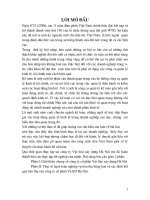 Hạch toán nghiệp vụ tiêu thụ hàng hóa và xác định kết quả tiêu thụ của Công ty Cổ phần Vật liệu xây dựng Hà Nội