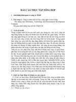 Tại Công ty phát triển tin học công nghệ và môi trường