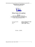 Hoàn thiện pháp luật về thương mại hàng hoá của Việt Nam trước yêu cầu gia nhập Tổ chức Thương mại Thế giới (WTO)