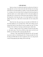 Phân tích tác động của môi trường kinh doanh tới hoạt động sản xuất của ngành may mặc Việt Nam.doc