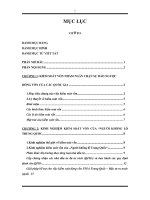 Gói giải pháp kiểm soát dòng vốn đầu tư gián tiếp nước ngoài tại Việt Nam