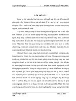 Hạch toán xuất khẩu hàng hóa tại Công ty cổ phần xuất nhập khẩu Tổng hợp I Việt Nam