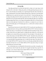 Quy chế pháp lý về bảo đảm tiền vay và thực tiễn áp dụng.doc