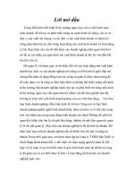 Thực trạng Hoạt động đầu tư và hiệu quả đầu tư SXKD tại Cty XNK và đầu tư IMEXIn Hà Nội giai đoạn ( 2000 – 2004)