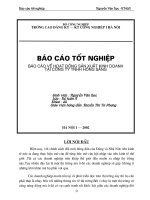 Báo cáo về hoạt động SXKD tại Cty TNHH Hồng sáng