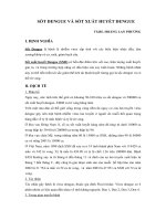 Sốt xuất huyết.pdf