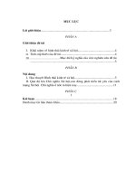 Lý luận về hình thái KT