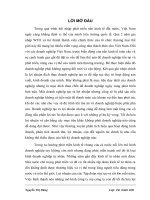 Giải pháp gia tăng lợi nhuận tại công ty cổ phần đầu tư thương mại công nghiệp Việt Á.DOC