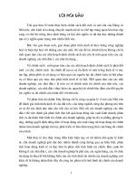 Một số giải pháp nhằm hoàn thiện phân tích tài chính tại Công ty Thoát Nước Hà Nội.doc.DOC