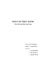 Đánh giá Hiệu năng Mạng.doc