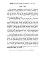 Giải pháp marketing cho công ty TNHH liên Vận quốc tế.DOC