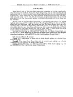 Hoàn thiện phương pháp phân tích tài chính trong hoạt động tín dụng của ngân hàng.doc