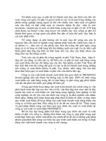 Thực trạng và giải pháp nhằm nâng cao hiệu quả quy trình sản xuất và xuất khẩu tại công ty sản xuất và xuất khẩu PROSIMEX.DOC