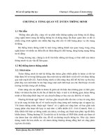 TỔNG QUAN VỀ ANGTEN THÔNG MINH.doc