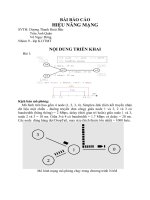 BaoCao_hiệu năng mạng.doc