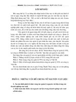 Hoàn thiện công tác quản lý NVL tại công ty SXKD đầu tư và dịch vụ Việt Hà.doc