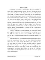 Hoàn thiện kiểm toán chu trình tiền lương và nhân viên trong kiểm toán báo cáo tài chính do Công ty kiểm toán Ernst & Young Việt Nam thực hiện.DOC