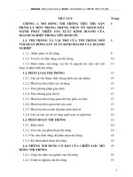 Chiến lược mở rộng thị trường của công ty cổ phần Thăng Long.doc.DOC