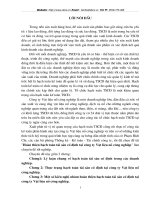 Hoàn thiện hạch toán tài sản cố định tại công ty nguyên vạt liệu nổ HN.doc