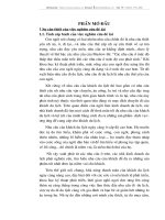Các giải pháp nhằm đẩy mạnh khai thác khách du lịch đi lẻ của du lịch thanh niên Quảng Trị.doc