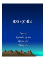 GPB - viem Y Ha Noi.pdf