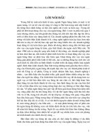 Lý luận chung về bảo hiểm tiền vay trong hoạt động kinh doanh ngân hàng.doc