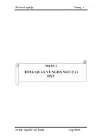 TỔNG QUAN VỀ NGÔN NGỮ CÀI ĐẶT.doc