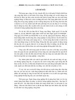 Những giải pháp nhằm nở rộng và nâng cao hiệu quả đầu tư tín dụng của ở Ngân hàng nông nghiệp và phát triển nông thôn huyện  Kinh Môn.DOC