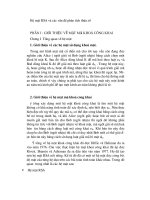 Hệ mật RSA và các vấn đề phân tích thừa số.DOC