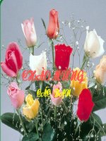 bai giang VBQLNN lop BHXH.PPT