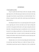 Phát triển hoạt động kinh doanh thẻ tại Ngân hàng thương mại cổ phần Kỹ Thương Việt Nam.doc