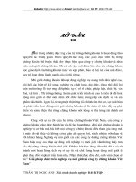 Giải pháp phát triển nghiệp vụ môi giới tại công ty chứng khoán Việt Nam.doc.docx