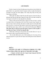 Một số ý kiến nhằm nâng cao hiệu quả quản lý NVL tại phân xưởng nhựa.doc.DOC