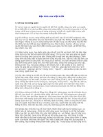 Ðặc tính của Việt triết