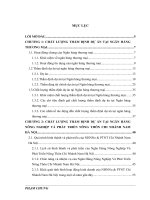 Nâng cao chất lượng thẩm định dự án tại Ngân Hàng Nông Nghịêp Và Phát Triển Nông Thôn Chi Nhánh Nam Hà Nội.DOC