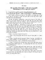 lý luận marketing cho hoạt động bán lẻ của công ty thương mại.DOC