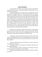 Giải pháp nâng cao hiệu quả phân tích tài chính ở công ty chế biến than HN.doc.DOC