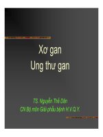 GPB -  Xo gan K gan Qy.pdf