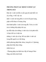 Phương pháp xác định vi sinh vật trong đất