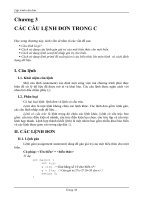 Các lệnh đơn trong C