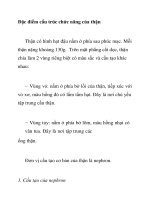 Đặc điểm cấu trúc chức năng của thận