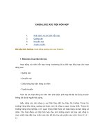 chien-luoc-xuc-tien-hon-hop.doc