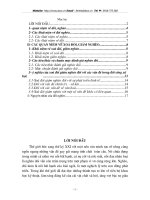 Thực trạng và phương hướng giải quyết vấn đề XĐGN tại huyện Quỳ Châu - Nghệ An.doc