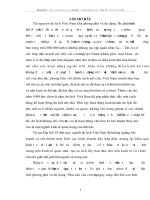 Tình hình phát triển và đặc điểm kinh doanh của công ty TNHH Thiên An Nam.doc