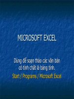 Microsft Excel