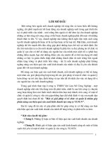 Một số giải pháp về tổ chức và quản lý nhằm góp phần nâng cao hiệu quả sản xuất kinh doanh tại công ty VLNCN.doc.DOC